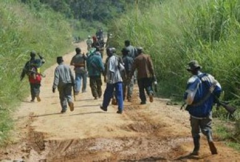 Casamance : 5 jeunes pris en otage par des assaillants à Kaour