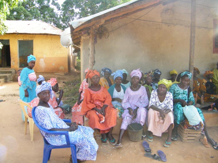 Récolte de noix de  cajou : les femmes recrues surexploitées à Ziguinchor