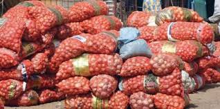 Surproduction d'oignons et de pomme de terre: Les producteurs de la zone des Niayes interpellent le ministre de l'agriculture