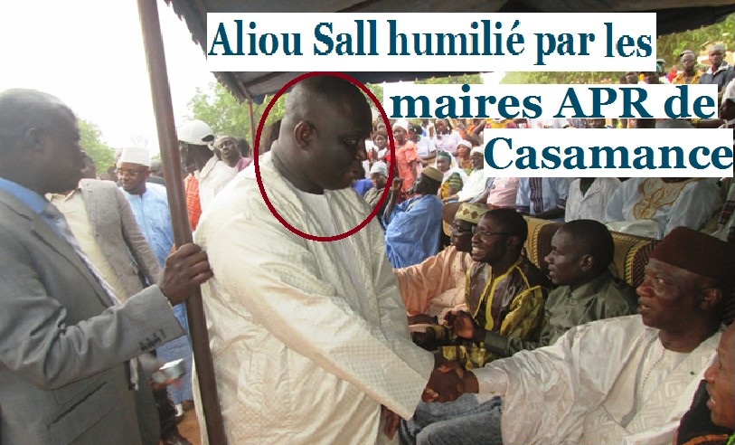 A Dakar pour le lancement du(Pudc) : Des maires victimes du partage d’hyène des « apéristes »