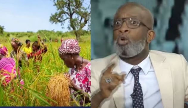 Distribution des Semences : « Il y avait une mafia, un véritable marché noir… »,Bouba Ndour