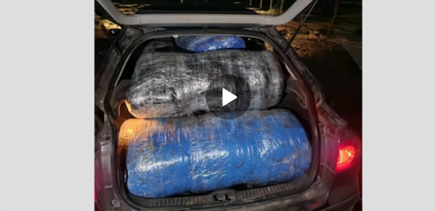 Mbao: 150 kg de drogue saisis par la gendarmerie, le convoyeur en fuite