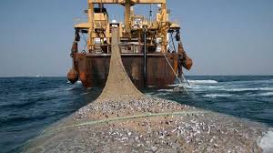 Pêche illicite: l'Union européenne adresse un "carton jaune" au Sénégal