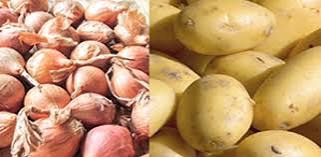 Oignon et pomme de terre : le marché bien approvisionné, rassure l’ARM