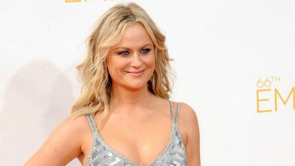 Amy Poehler va trop loin en insultant la fille de Beyoncé !