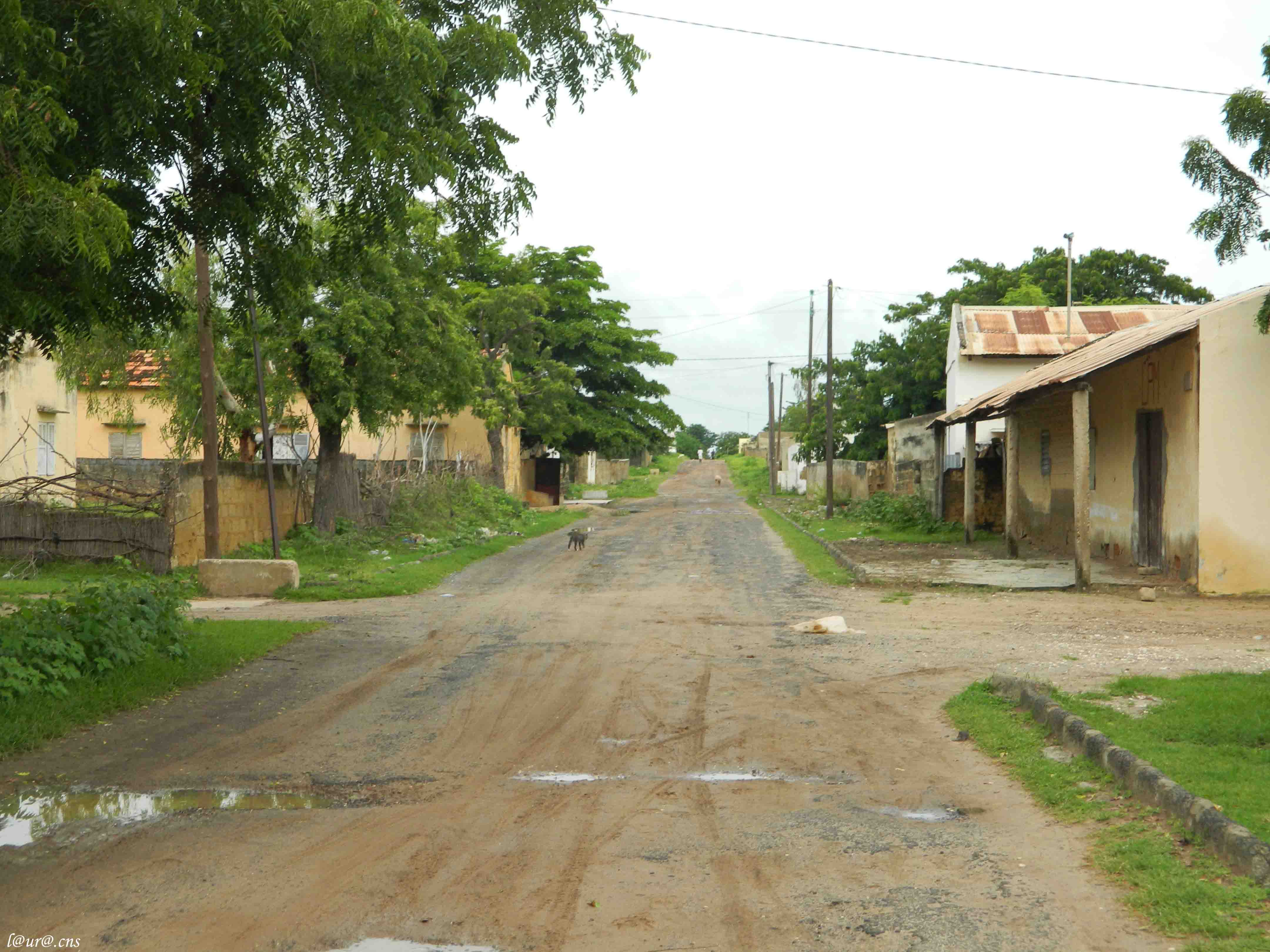 Foundiougne: Gestion des catastrophes  au cœur des préocupation