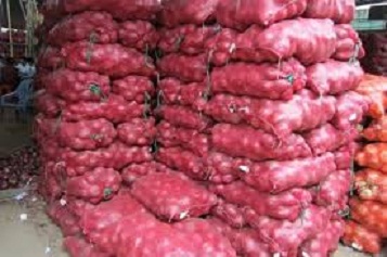 Gandiole : 60.000 tonnes d’oignons pourries