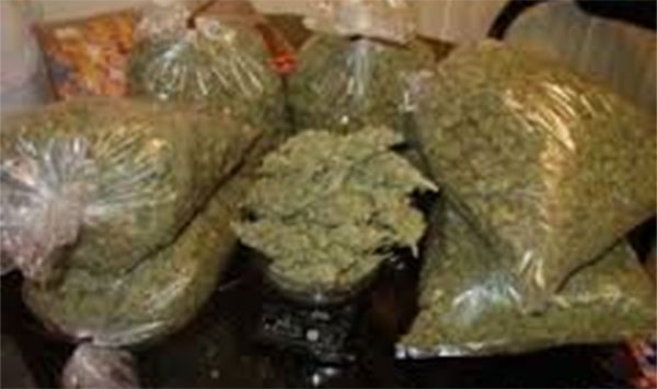 Poponguine: 300 kg de drogue saisis par la gendarmerie