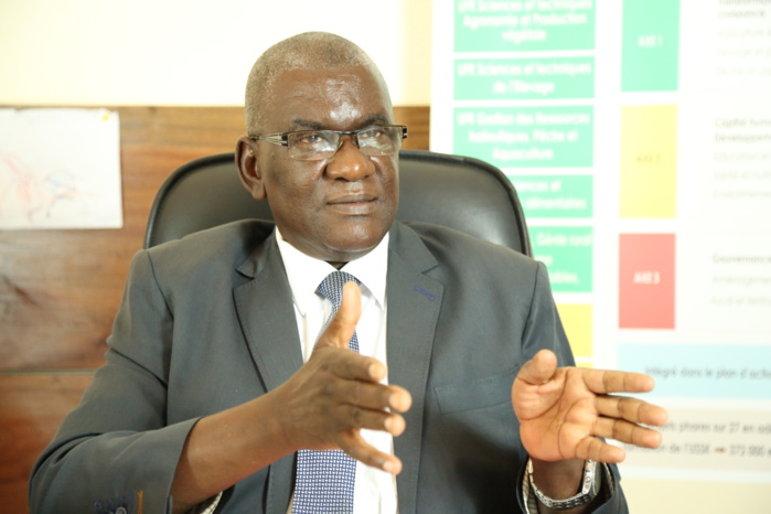 Université du Sine-Saloum de Kaolack : Vingt-cinq familles de métiers identifiées