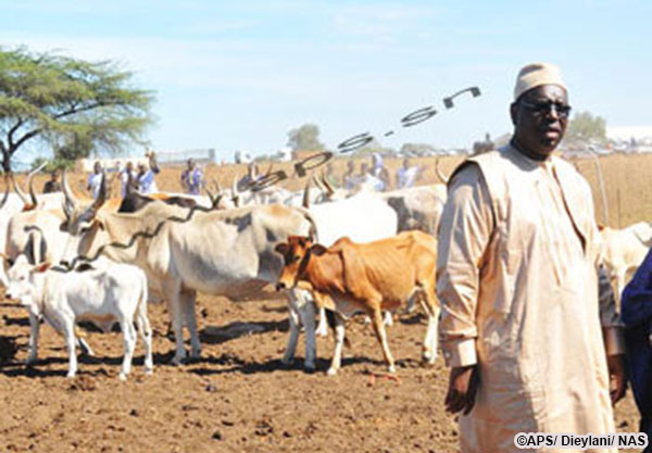 Macky Sall annonce le recrutement de 200 agents techniques en 2016