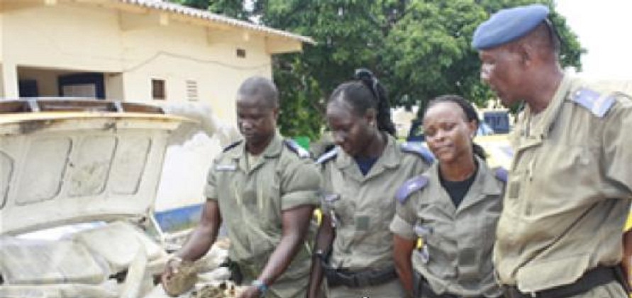 Sept(7) kilogrammes de "Yamba" saisis par la Gendarmerie de Joal