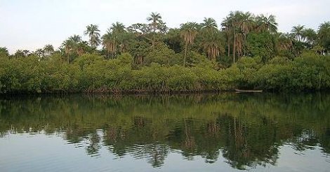 Casamance - Quatre raisons qui font perdurer un conflit