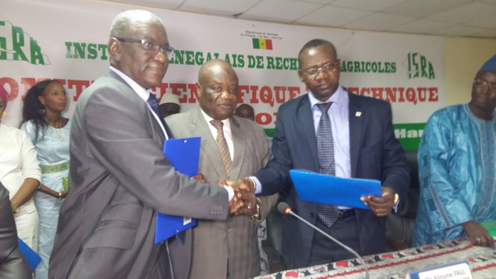 L’Université du Sine-Saloum va relever les défis de l’insécurité alimentaire (Recteur)