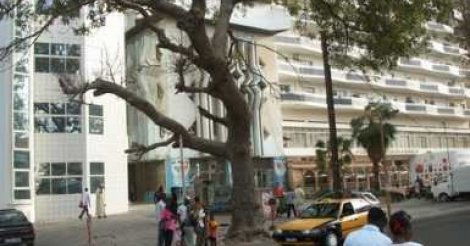 Immeuble Kébé: Nue, une française saute du 7e étage et meurt