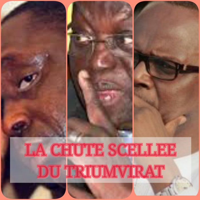RÉFÉRENDUM DU 20 MARS 2016 : LA CHUTE DU TRIUMVIRAT MACKY, NIASS, TANOR SE PRÉCISE! (Par Aminata Aicha Touré)
