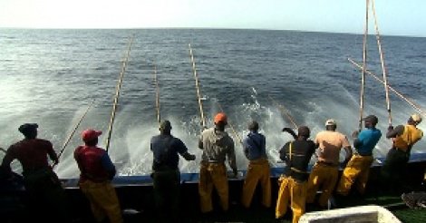 Fraude sur le tonnage des navires de pêche industriels: Des acteurs exigent du gouvernement une réponse immédiate