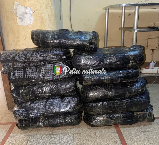 Kolda : l’OCRTIS saisit 47 kg de chanvre indien abandonnés après une course-poursuite