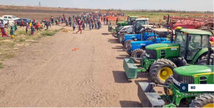 Un joyeux Noël pour Nouvelle Ville