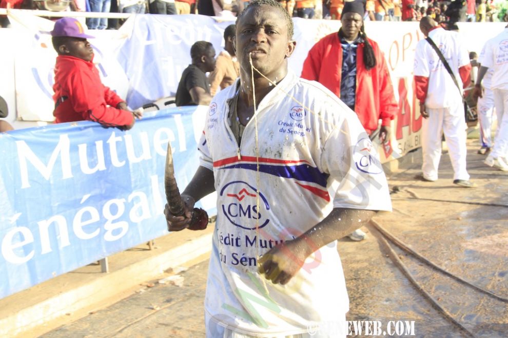 Boye Sèye aux lutteurs : Faites autre chose que la lutte...