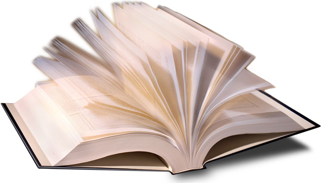 La bibliothèque a brulé : les livres sont devenus orphelins Par Dr Abdoulaye Diallo