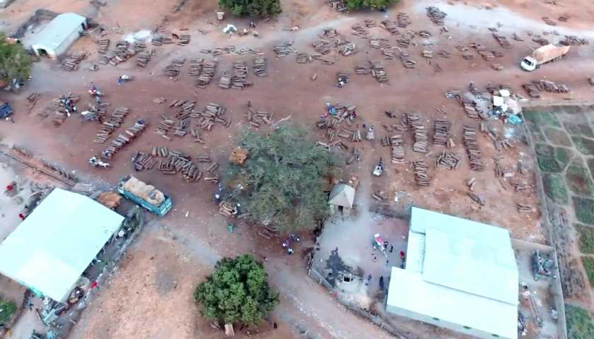 Pillage des forêts du Sud : « L’heure est grave », selon les cadres casamançais