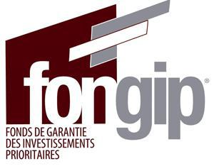 AVIS A MANIFESTATION D’INTERET  Fonds de Garantie des Investissements prioritaires (FONGIP)  AMI n° C_FGIP_16-031