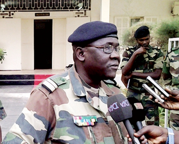 Coupe abusive de bois dans la région de Ziguinchor : Un pillage sino-gambien soutenu par les bandes armées