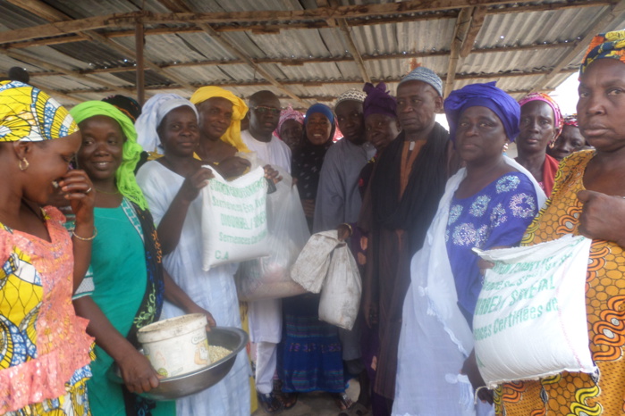 Les champs du savoir : Une réponse au financement de l’école Sénégalaise.