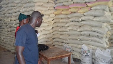 Reportage- A Anambé, la terre redonne vie aux agriculteurs