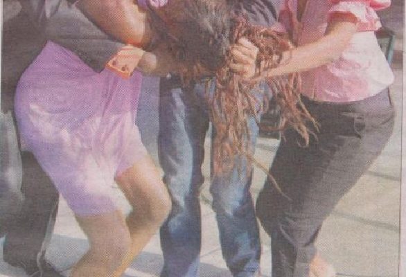 P.Diallo Vs A.Boury: une affaire d’omelette entre le mari et ses deux épouses atterrit au tribunal