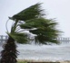 Des rafales de vent annoncées sur tout le littoral sénégalais