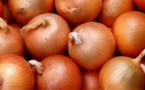 Reprise des importations d’oignons à partir de lundi
