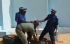 300kg de «brown» saisis en l’espace de 48h par la gendarmerie de keur massar