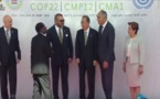 Comment Mohammed VI a ostensiblement ignoré le président Robert Mugabe