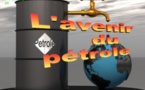 La croissance décroche pour l’ Afrique pétrolière