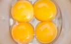 Voici ce que les spécialistes révèlent sur le jaune d’œuf