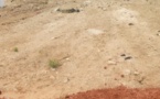 LITIGES TERRITORIAUX RÉPÉTÉS ENTRE COMMUNES : L’ombre de Mbane plane sur le Saloum
