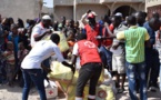 Frontière Sénégal/Gambie : La Croix rouge sénégalaise à la rescousse des réfugiés