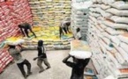 Une production de 750 800 tonnes de riz attendue de la vallée en 2017 (SAED