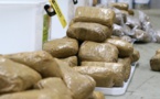 Italie : 2 sénégalais arrêtés avec 1 Kg de cocaïne