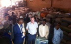Tambacounda, Kolda et Kédougou : 30 milliards de FCfa de l’Afd pour l’agriculture