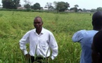 KOLDA : Moussa Baldé directeur de la sodagri, sauveur de la vallée de l’Anambé.