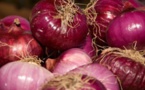 Le prix de l’oignon bord-champ fixé à 150 francs CFA et 200 francs CFA le kg