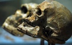 L'Homo sapiens aurait 100000 ans de plus qu'estimé jusqu'à maintenant