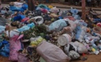 Kaffrine : une société de nettoiement ambitionne de collecter 500 Kg d’ordures par mois