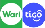 Affaire Tigo : Les co-fondateurs se prononcent et avertissent