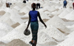 KAOLACK : Plus de 80 tonnes de sel non iodé saisies par les services du commerce