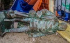 Saint-Louis : La mairie va remettre la statue de Faidherbe "à sa place"