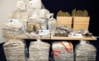 Espagne : un sénégalais arrêté avec 290 Kg de cocaïne