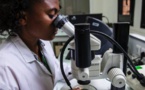 Epidémie de peste à Madagascar: comment se protéger de la maladie?
